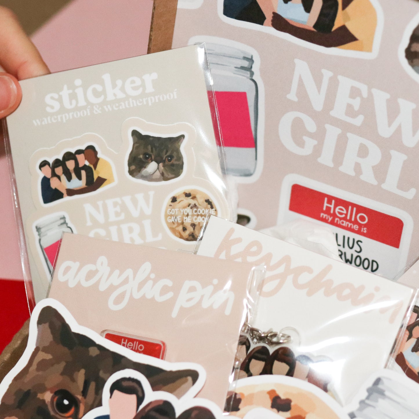 New Girl TV Show Gift Box