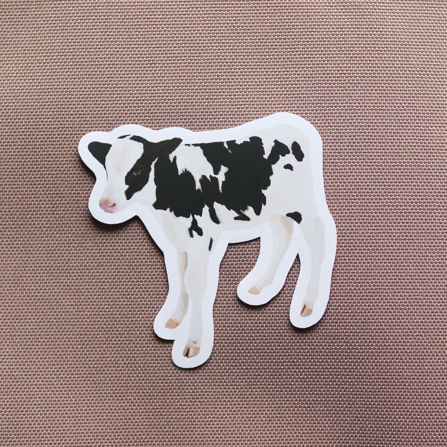 Calf