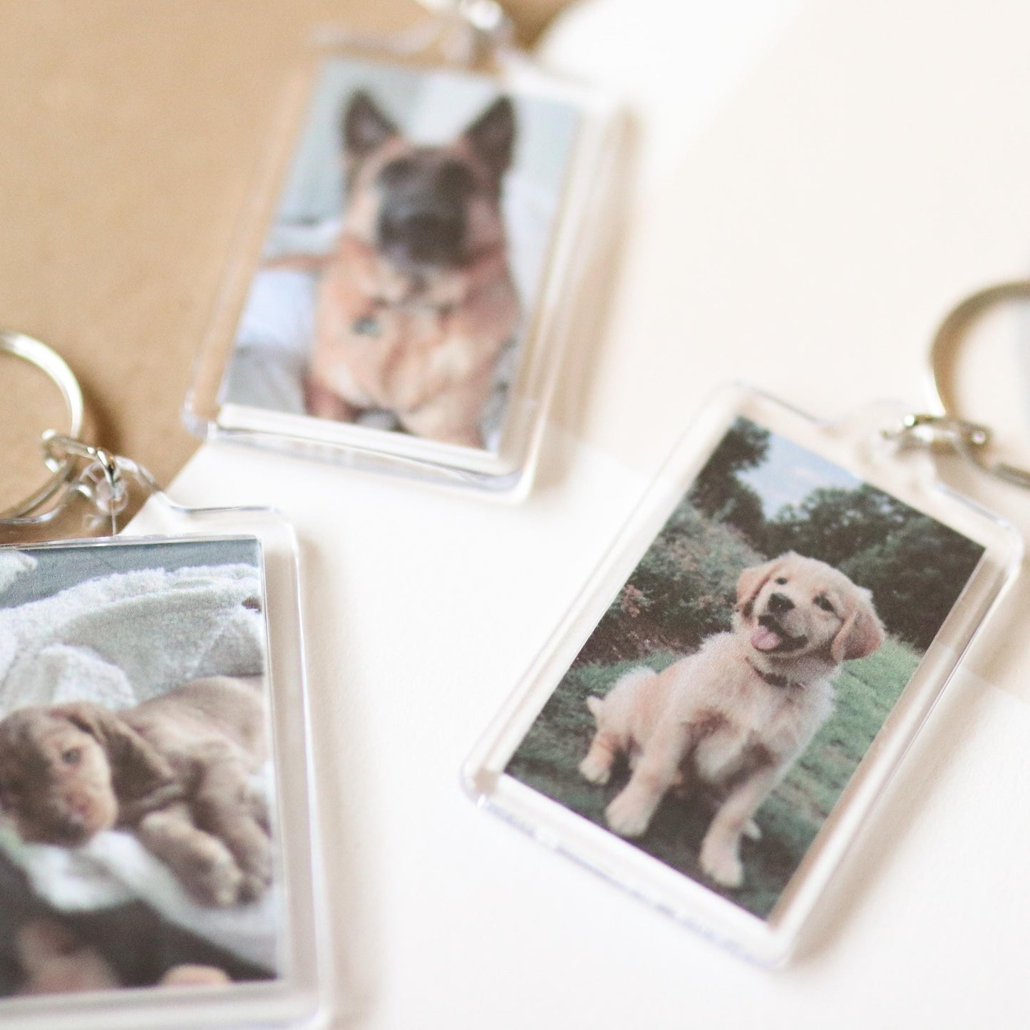 CUSTOM Pet Photo Keychains | cute, pet, dog lover, cat lover, custom gift idea, choose your own, photo gift