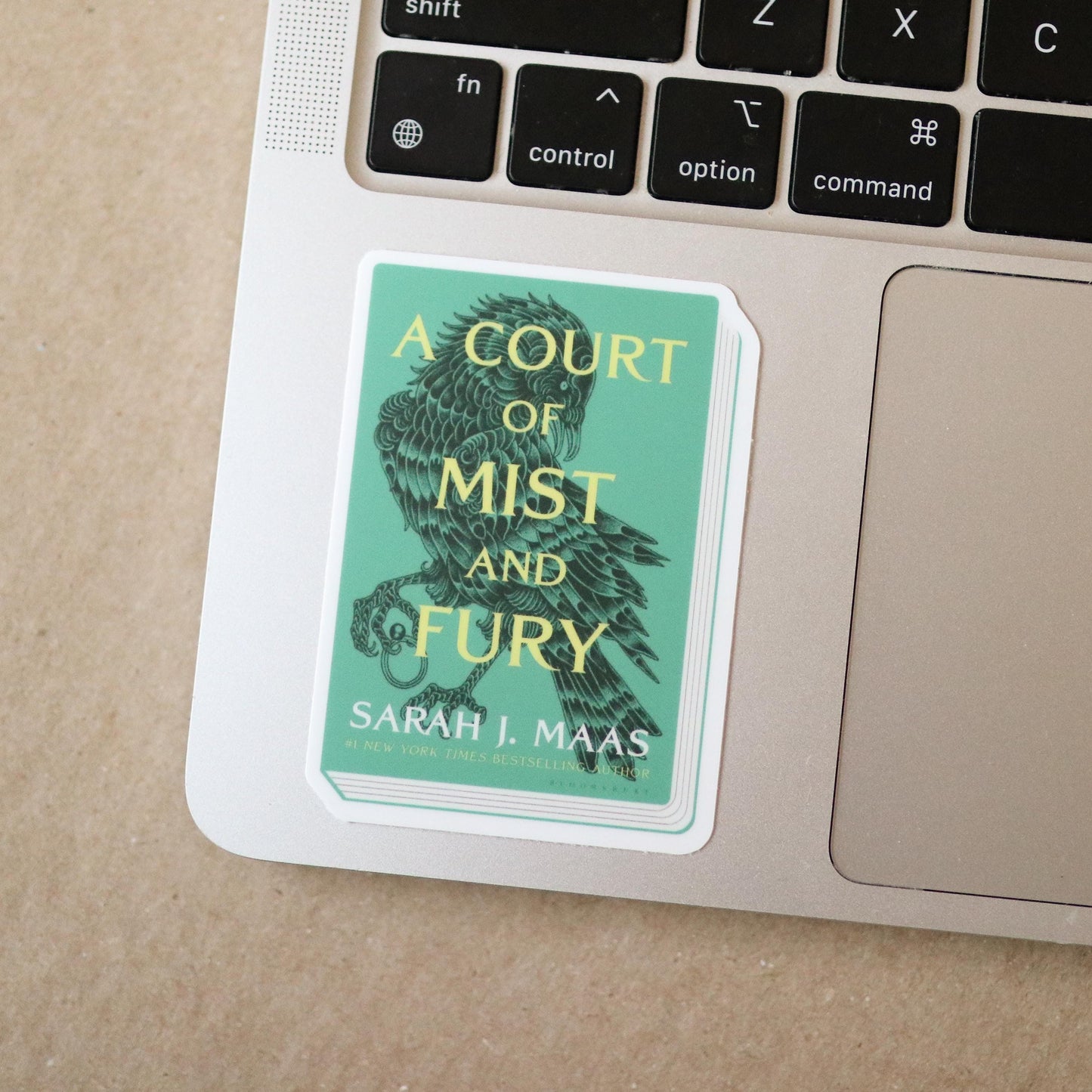 ACOMAF Book Sticker | a court of mist and fury gift laptop decal waterproof book lover, reader bookworm aesthetic fantasy sara j maas