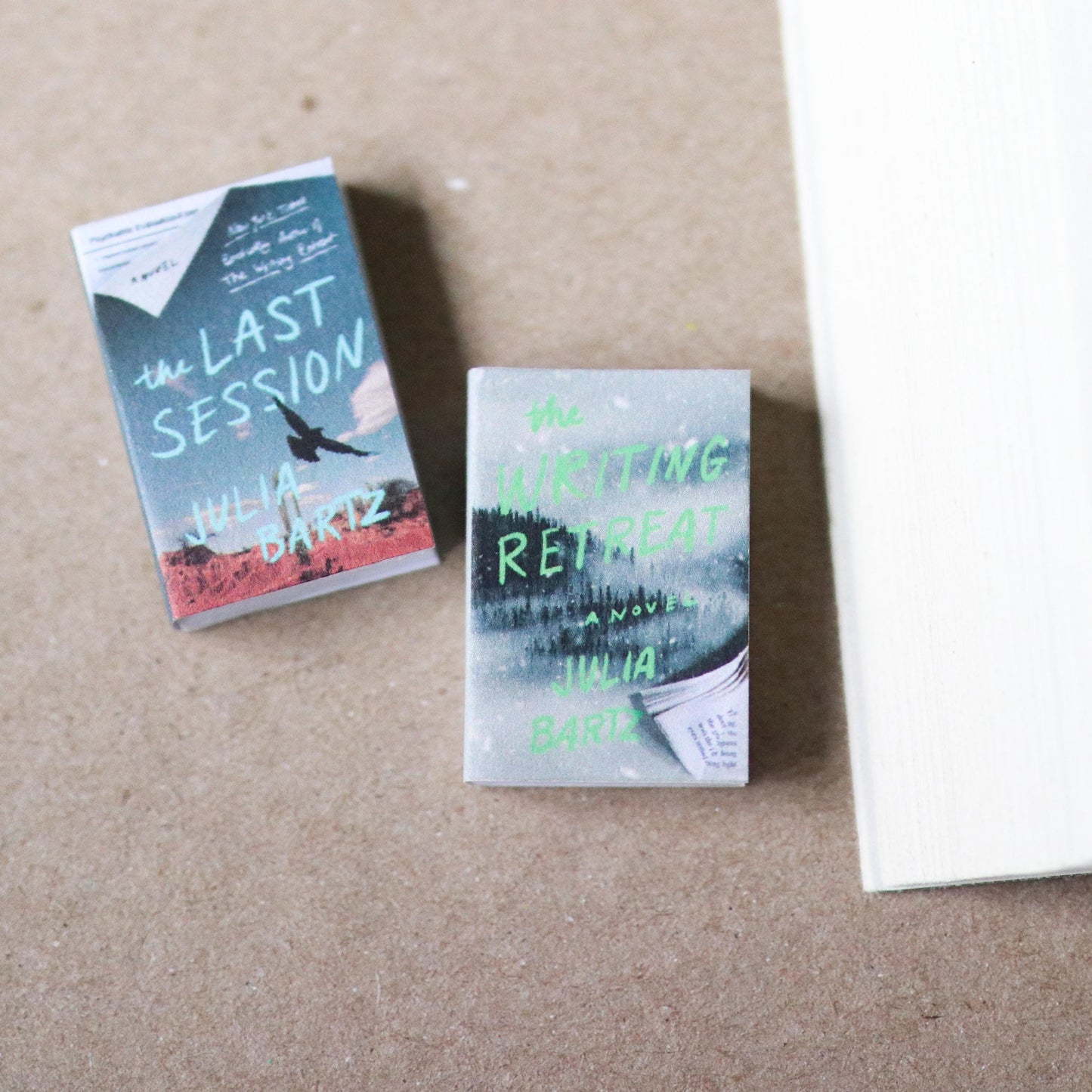 Handmade MINI Julia Bartz Books (set of 2 mini books)