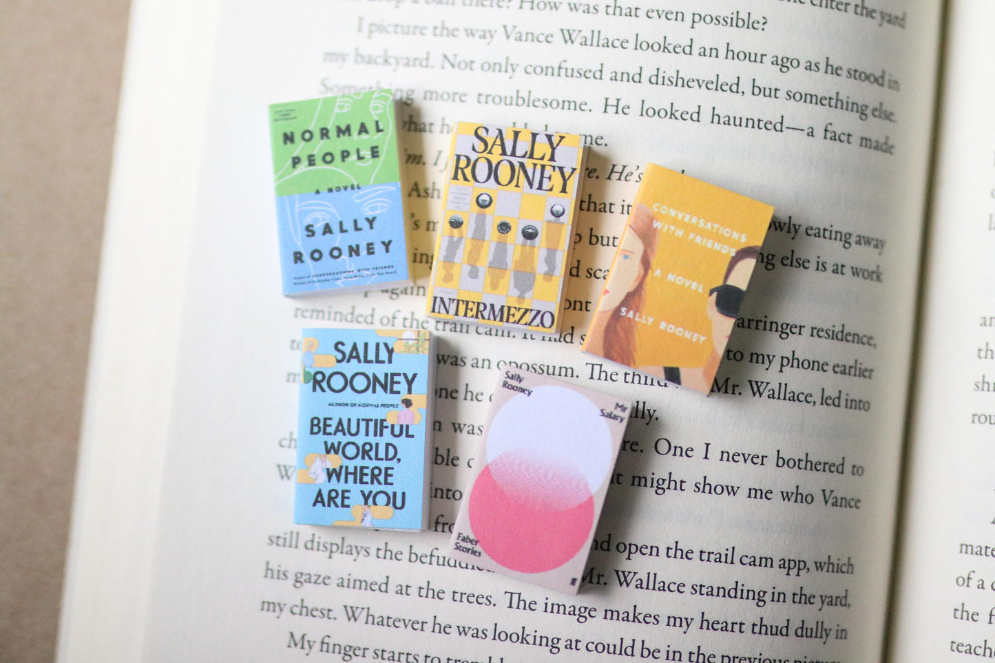 Handmade MINI Sally Rooney Books (set of 5 mini books)