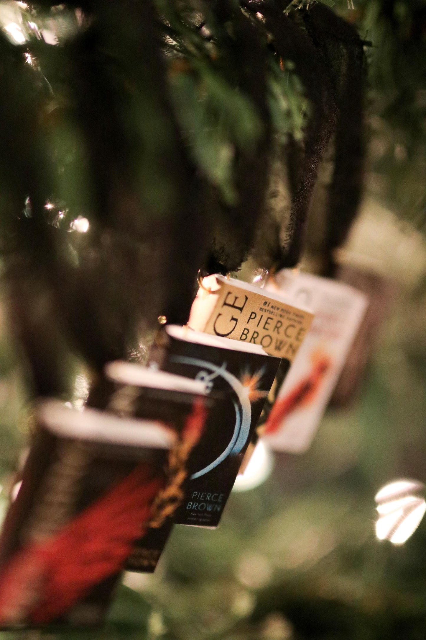 Pierce Brown Mini Book Ornaments