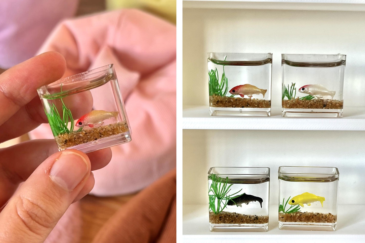 Mini Fish Tank