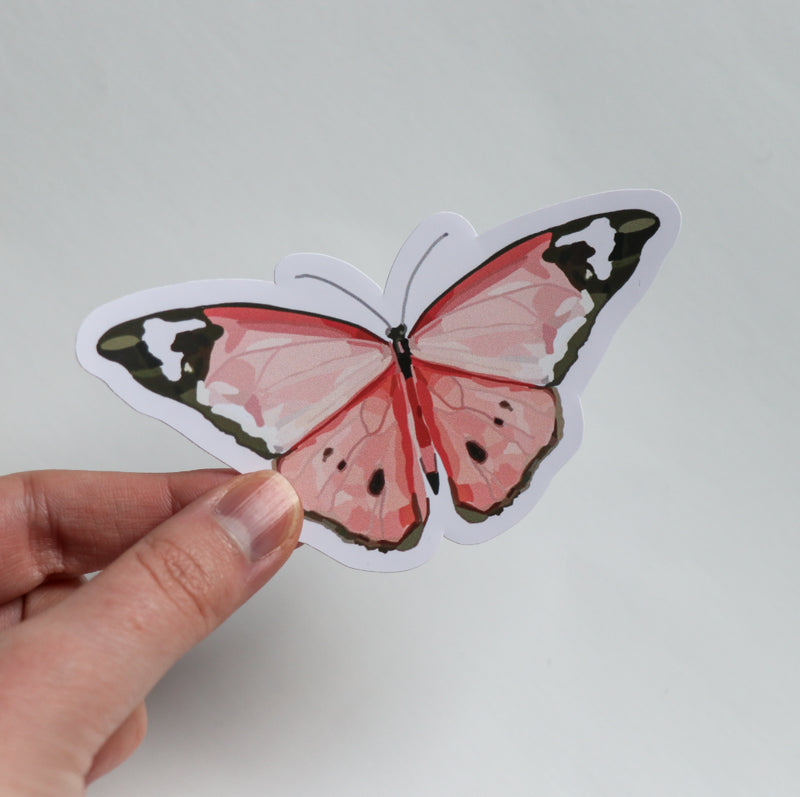 Pink Butterfly