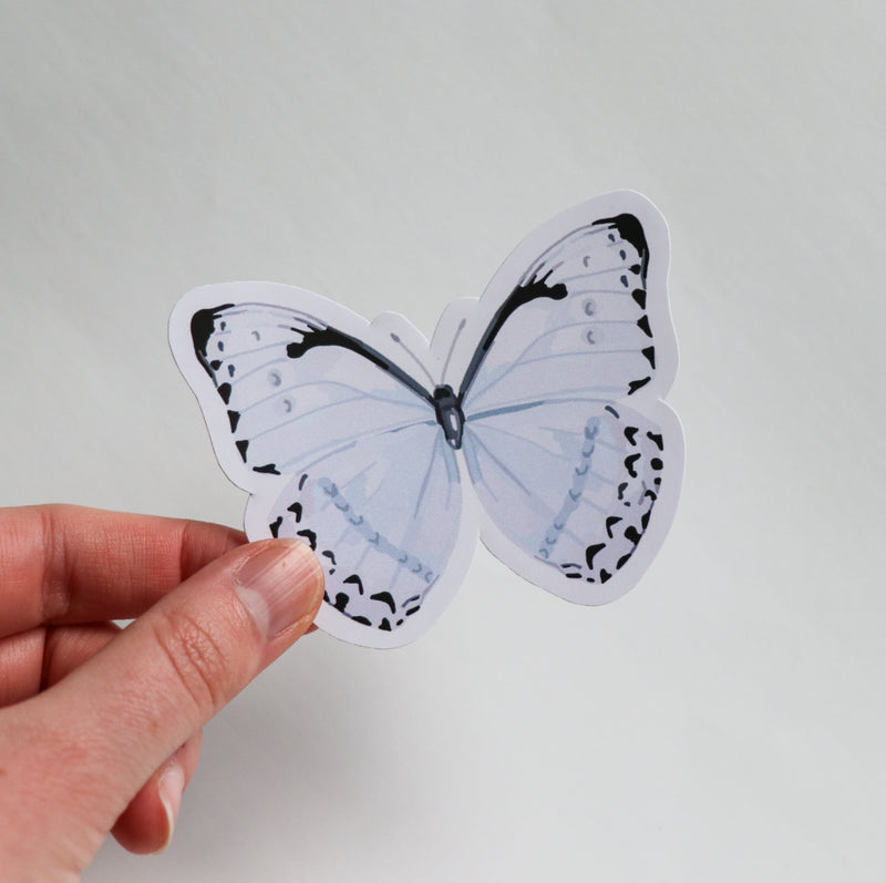 Blue Butterfly