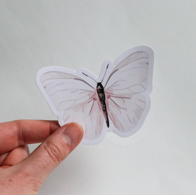 Blush Butterfly