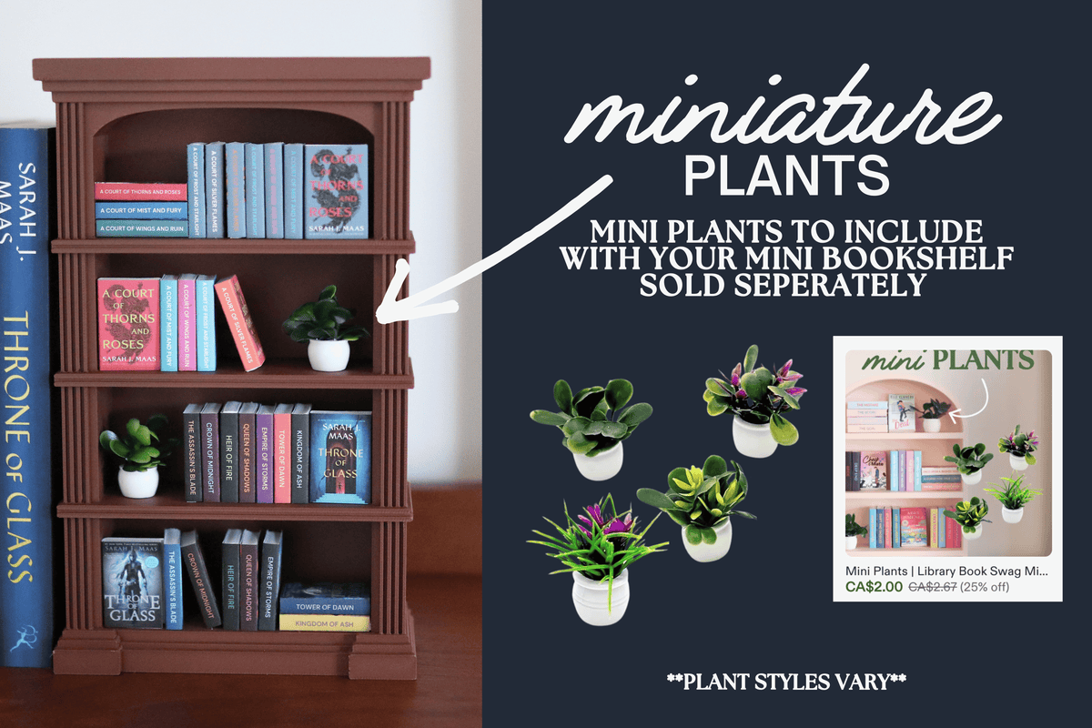 Mini Medieval Bookshelf