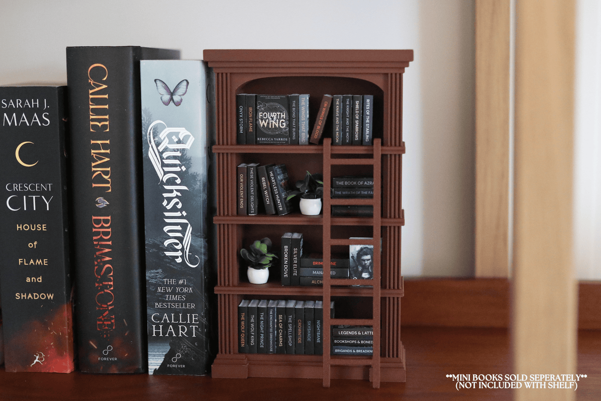 Mini Medieval Bookshelf