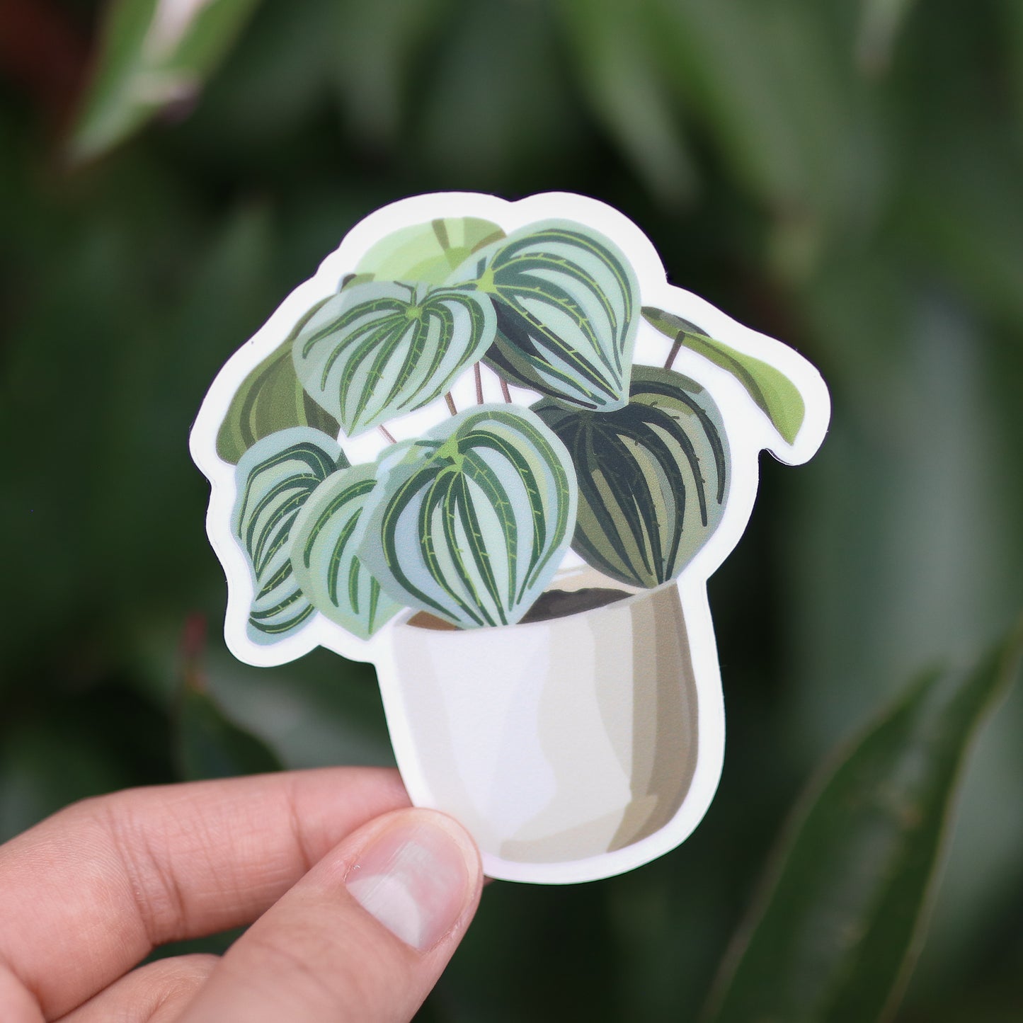 Plant Pot Clear Sticker