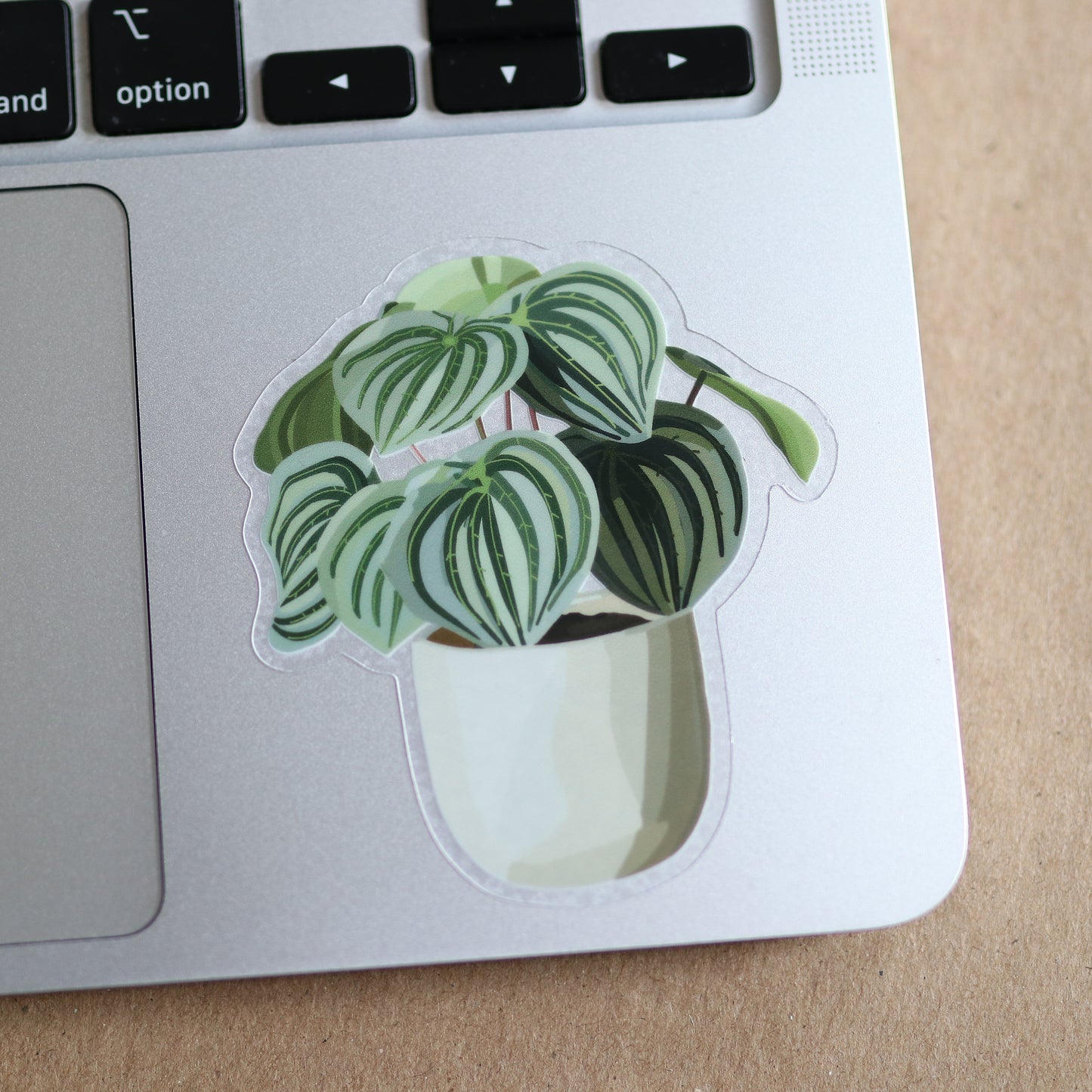 Plant Pot Clear Sticker