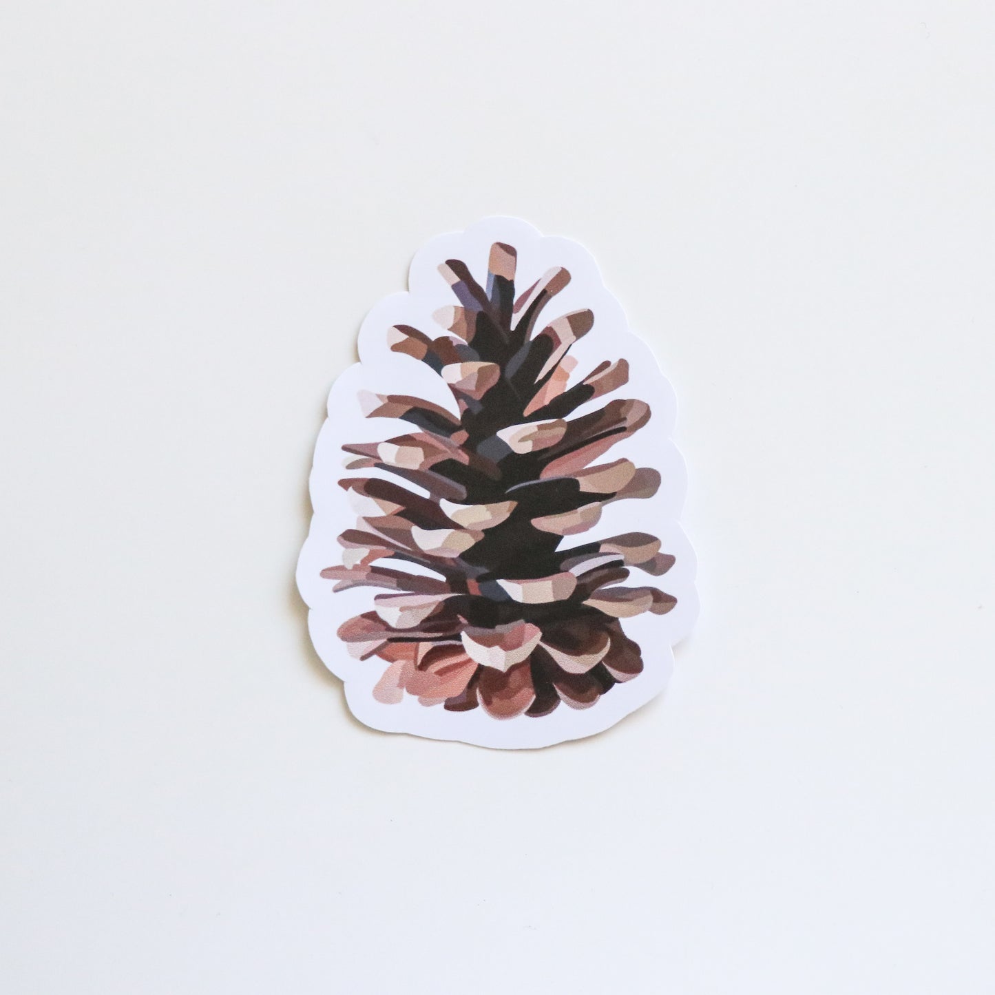 Pinecone