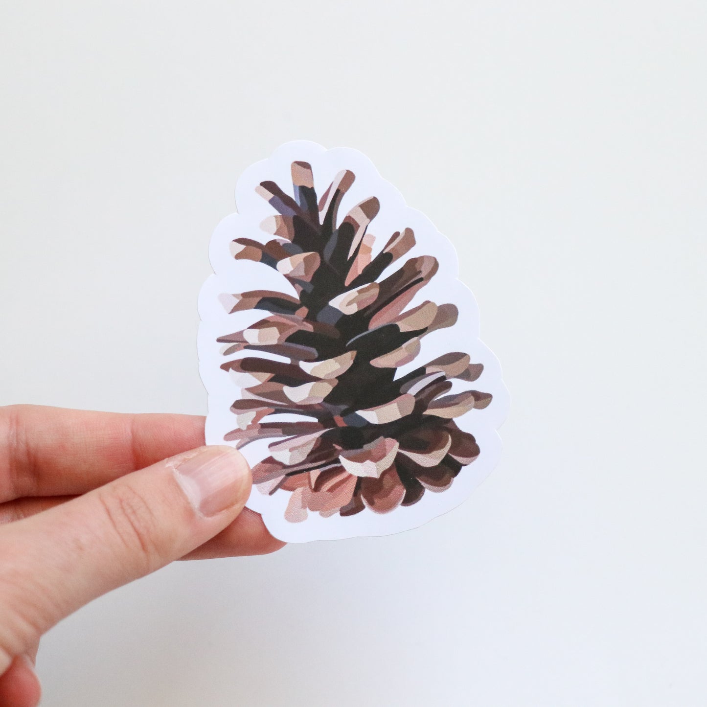 Pinecone