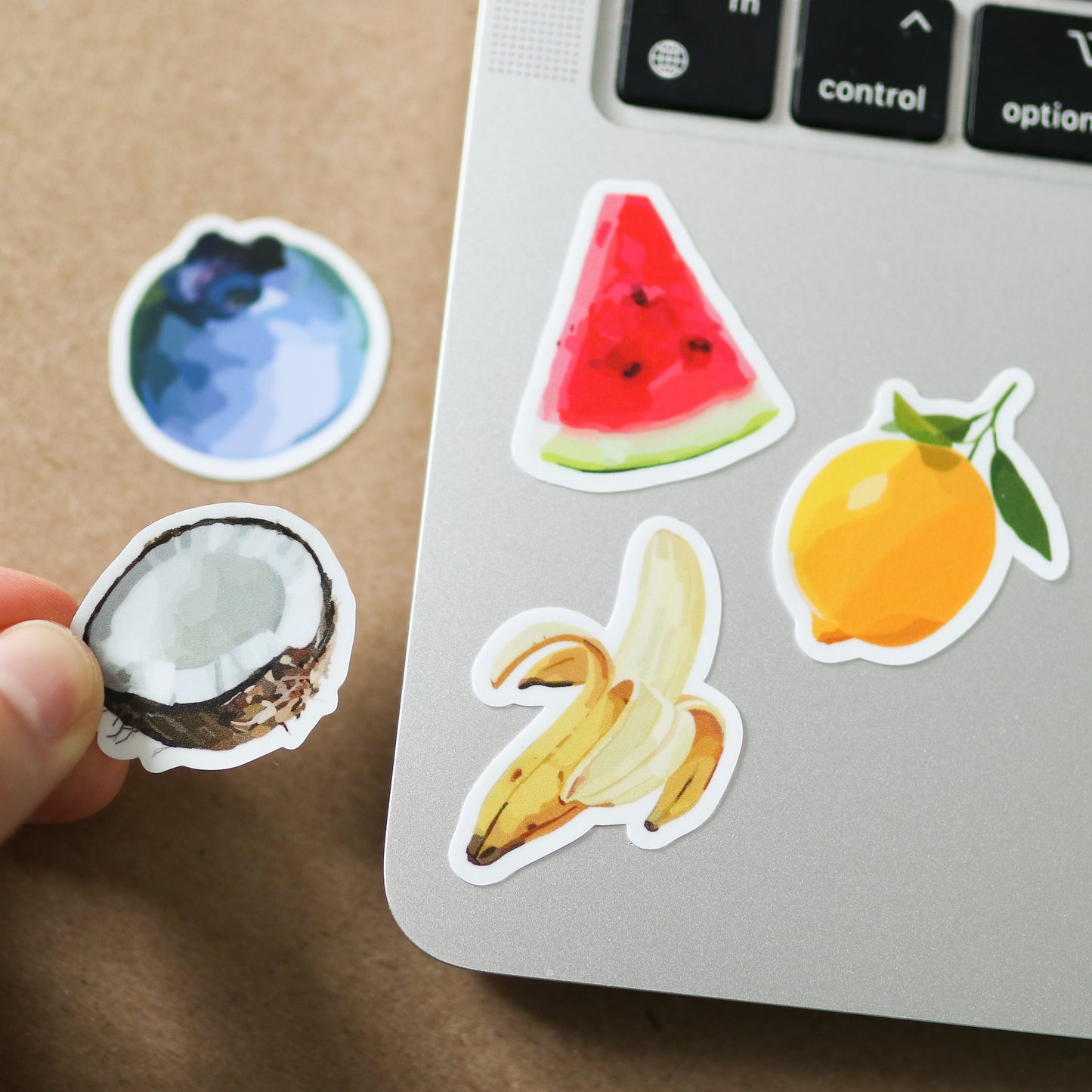 Mini Fruit Stickers