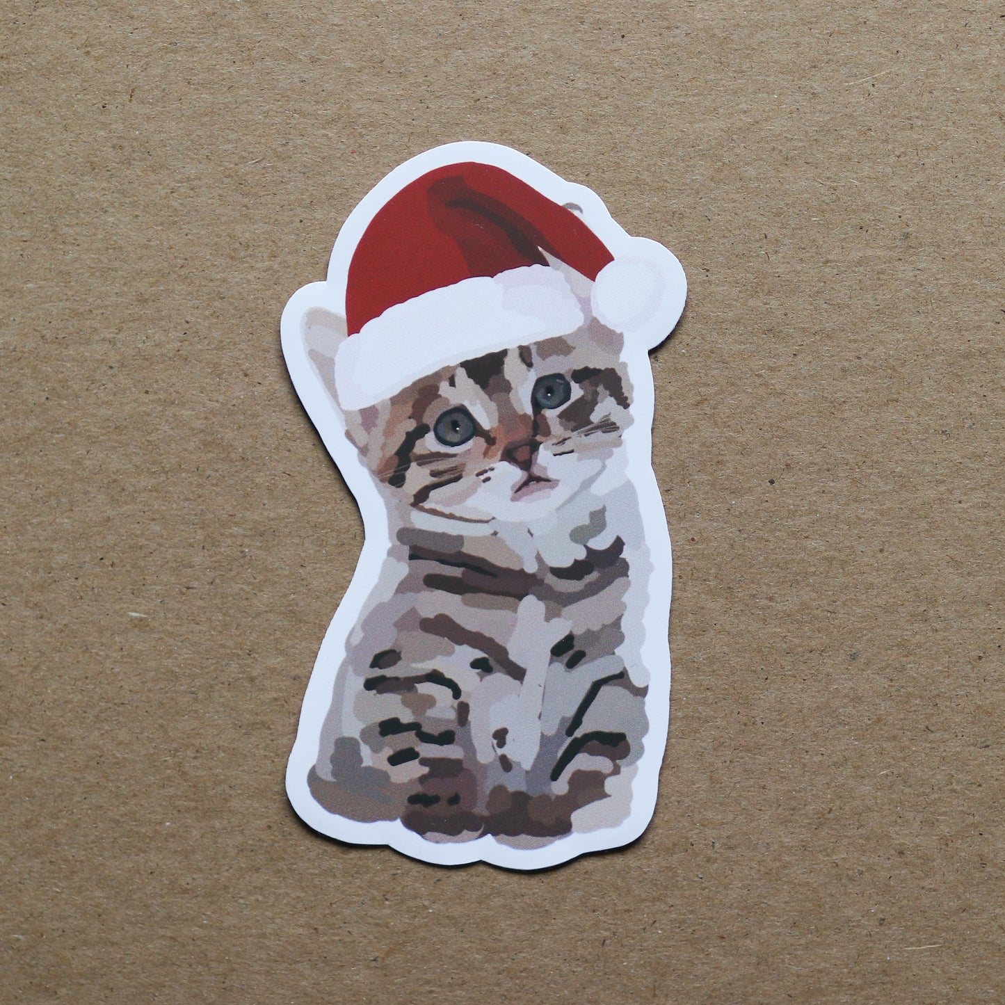 Christmas Shorthair Kitten