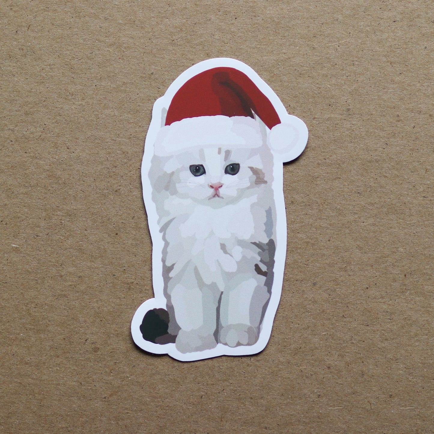 Christmas Ragamuffin Kitten