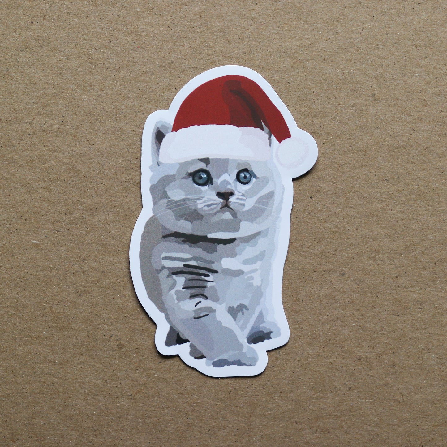 Christmas British Shorthair Kitten