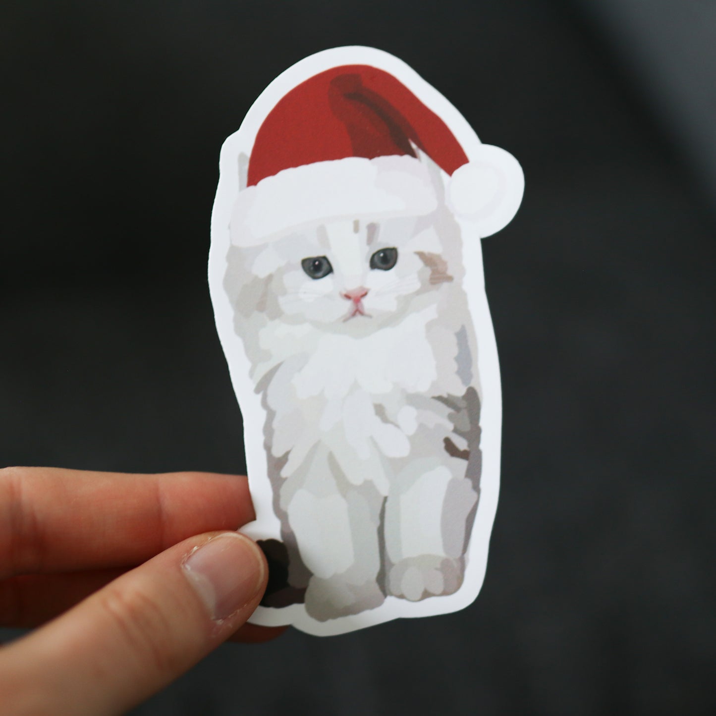 Christmas Ragamuffin Kitten