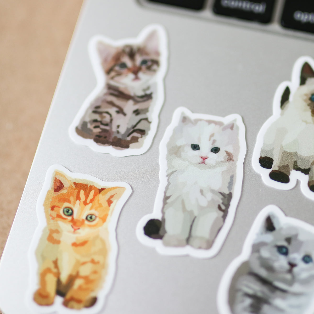 Simple Kitten Sticker Mini Kitten Stickers – thestickershop20