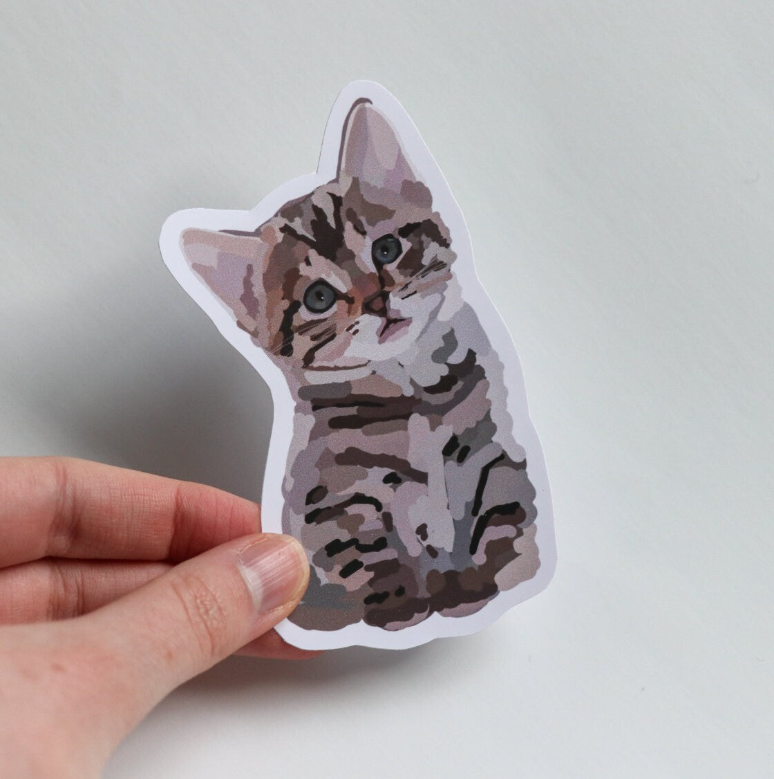 Shorthair Kitten Sticker