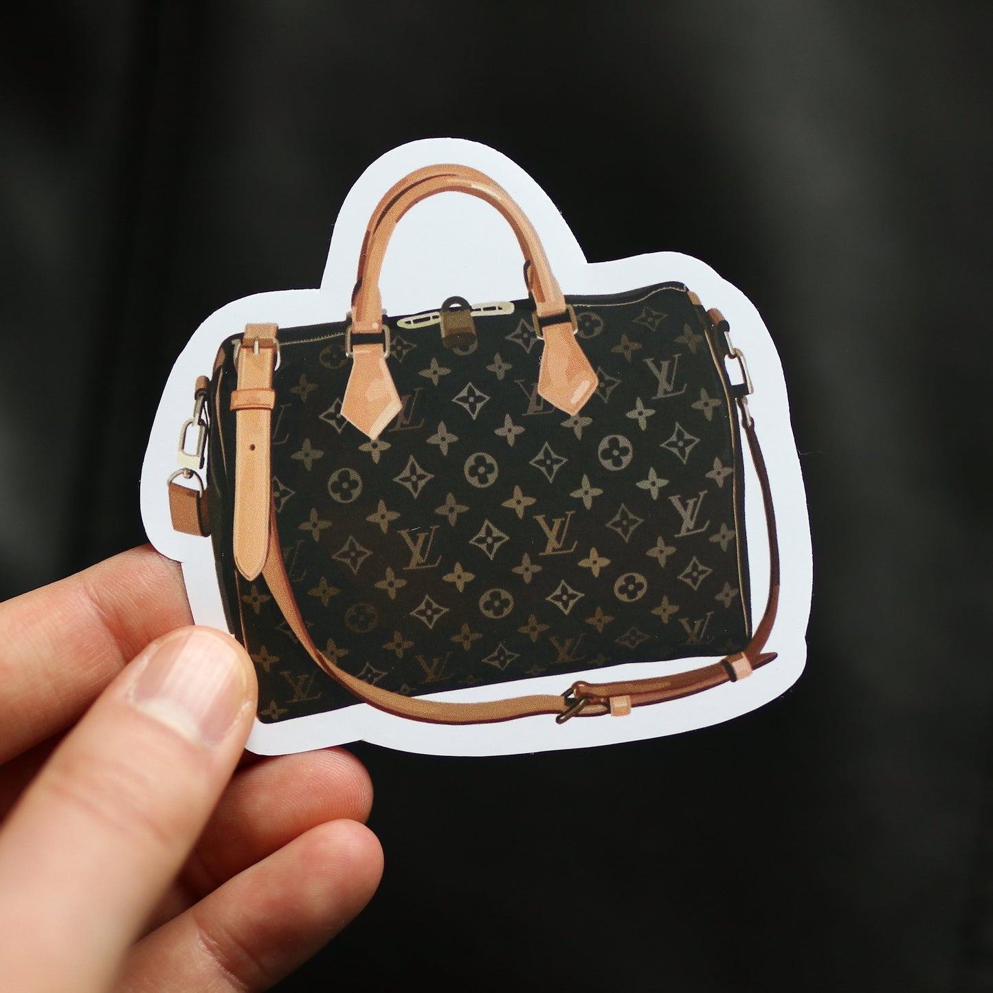 Designer Fashion Sticker Pack (Includes 5 stickers) | gift idea Laptop Decal, Notebook, Trendy Stickers