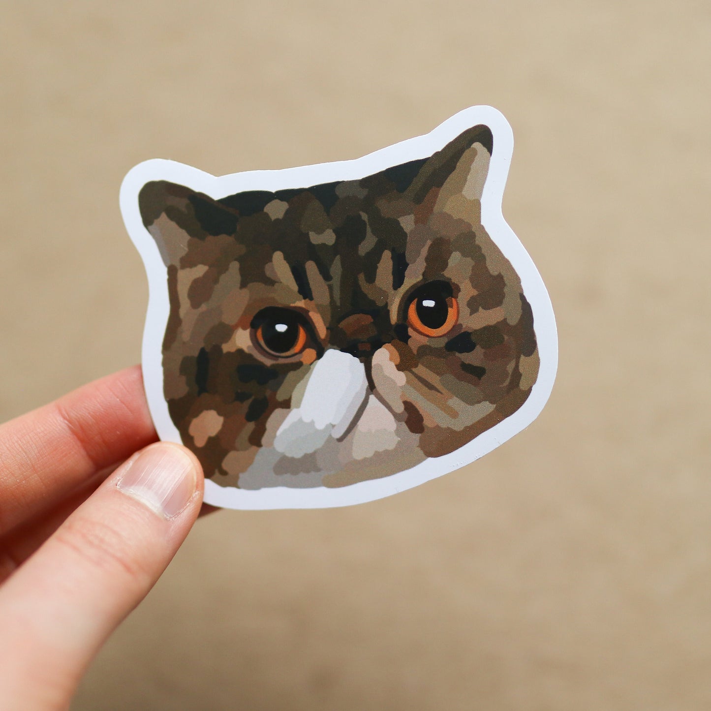 TV SHOW Sticker Pack (Includes 5 stickers) | new, gift idea Laptop Decal, Notebook, Trendy Stickers, girl