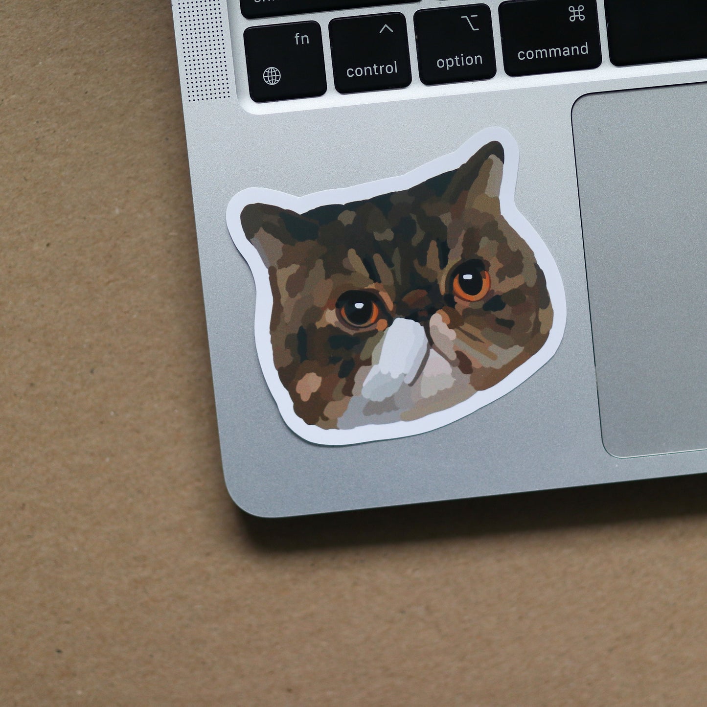 TV SHOW Sticker Pack (Includes 5 stickers) | new, gift idea Laptop Decal, Notebook, Trendy Stickers, girl