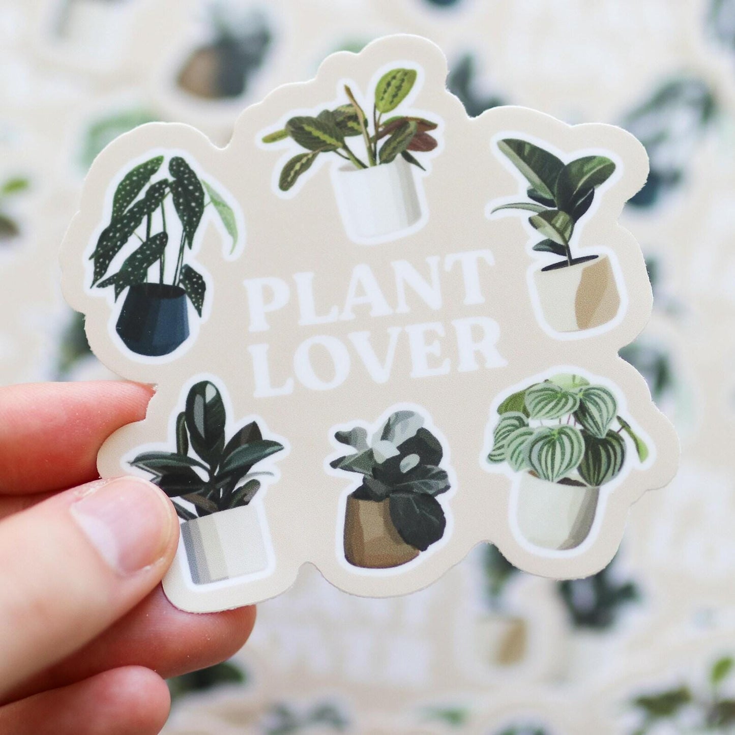 Aesthetic Plant Waterproof Sticker | gift idea Clear laptop decal planner water bottle Waterproof Hydro flask plant lover plant mom leaf