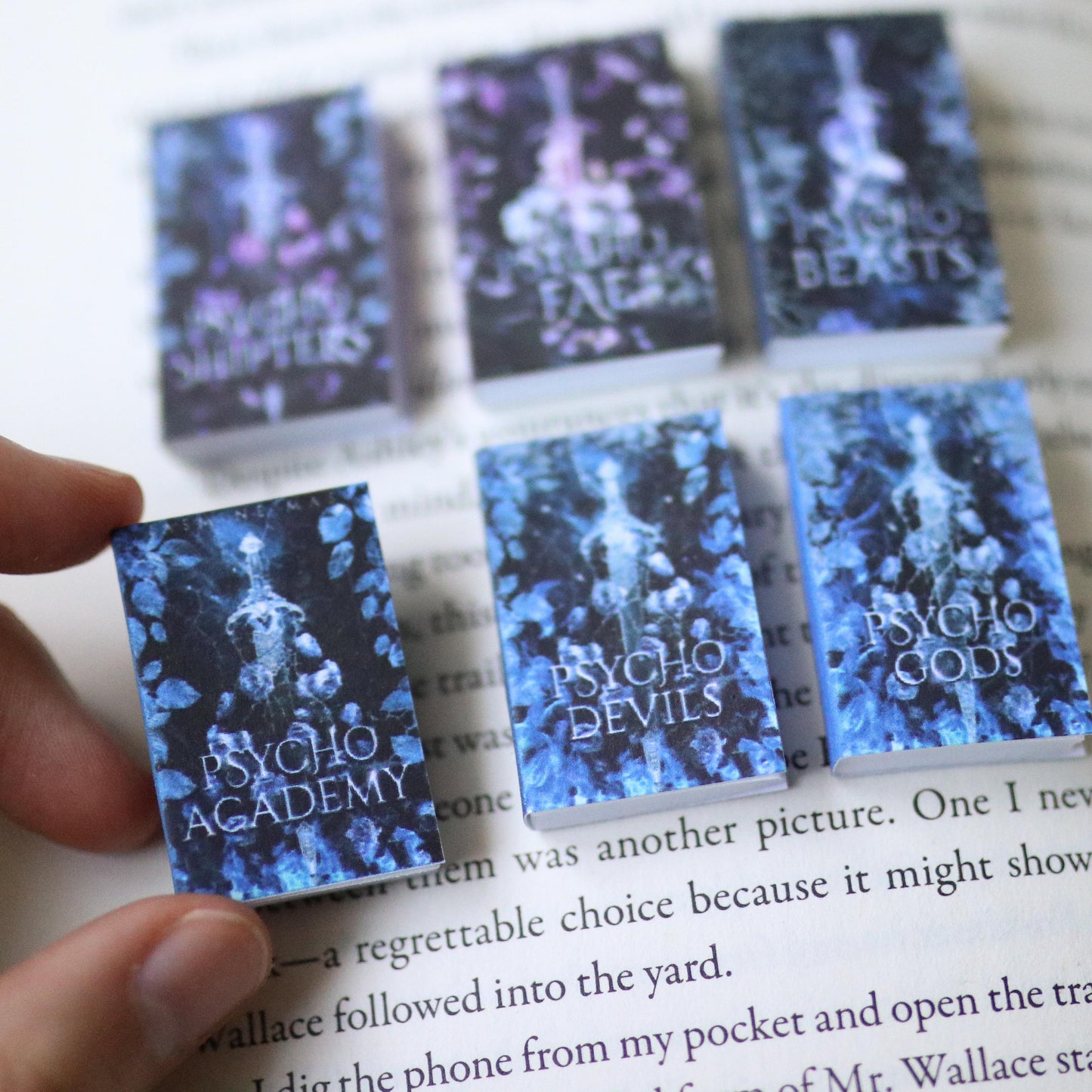 Handmade MINI Cruel Shifterverse Series Books (set of 6 mini books)