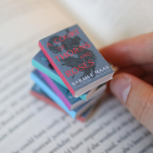 Handmade MINI Special edition Sarah J Maas Books (set of 5 mini books)