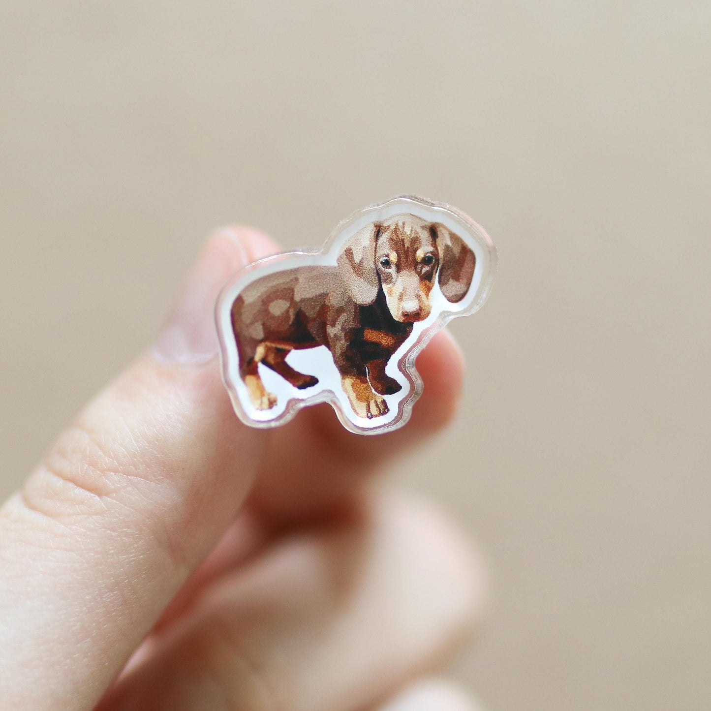 Dachshund Acrylic Pin