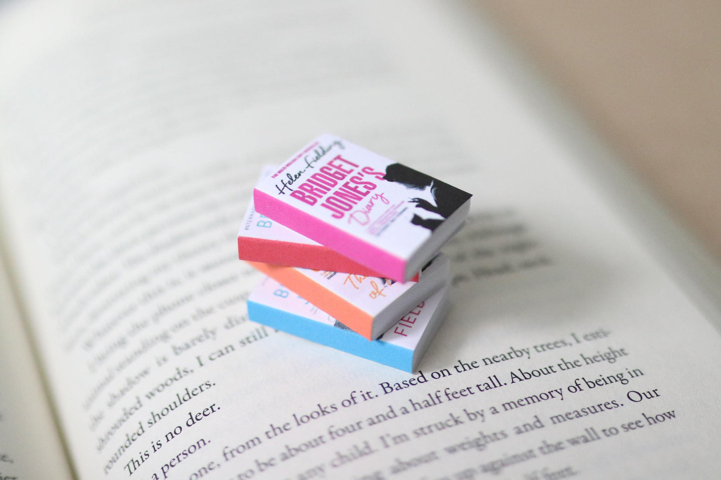 Handmade MINI Bridget Jones Books (set of 4 mini books)
