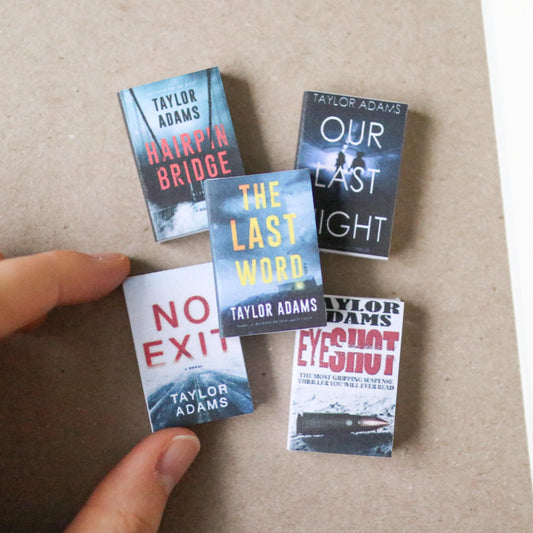 Handmade MINI Taylor Adams Books (set of 5 mini books)