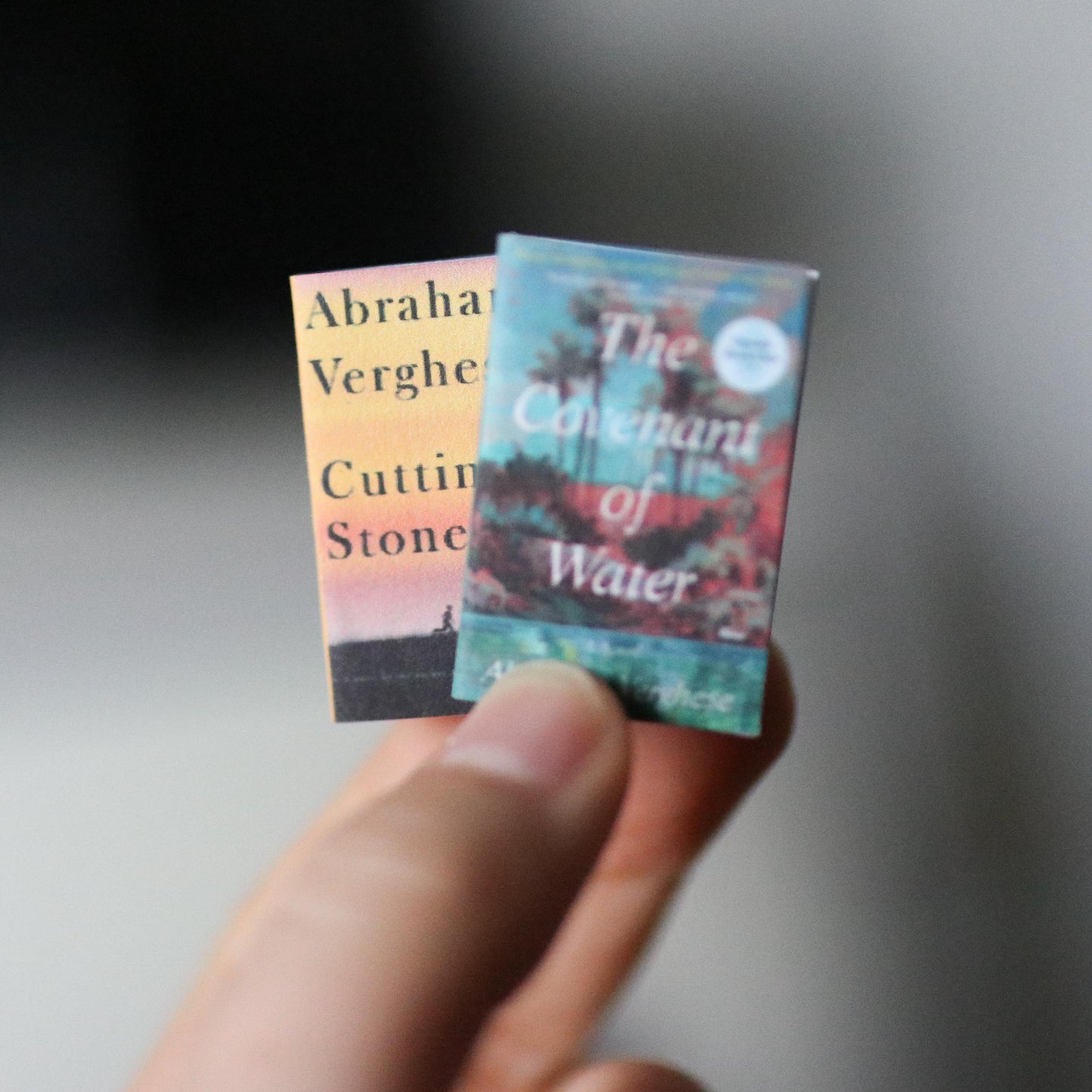 Handmade MINI Abraham Verghese Books (set of 2 mini books)