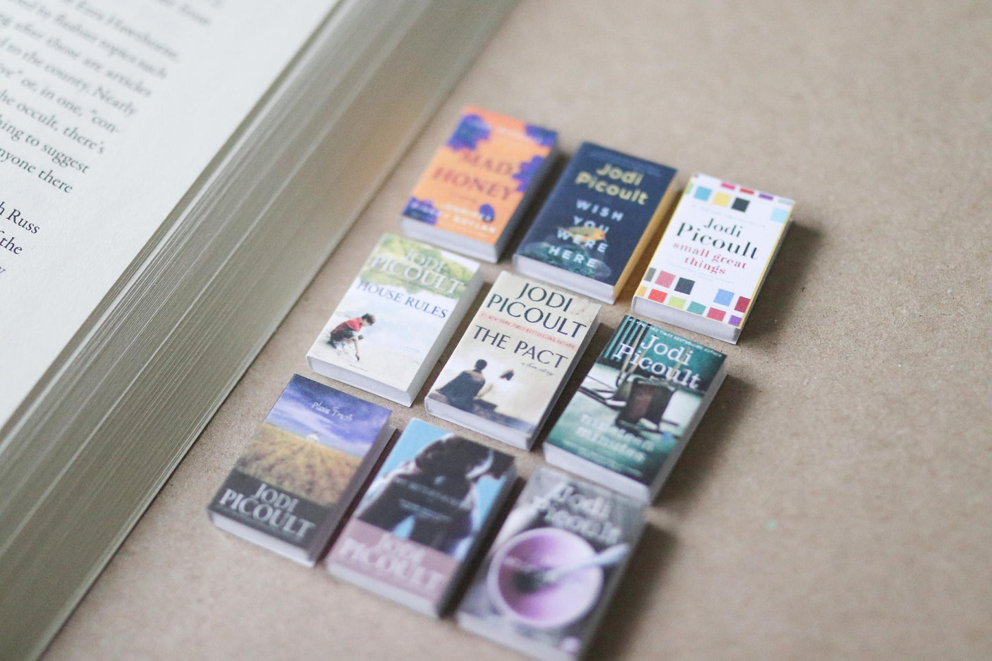 Handmade MINI Jodi Picoult Books (set of 9 mini books)