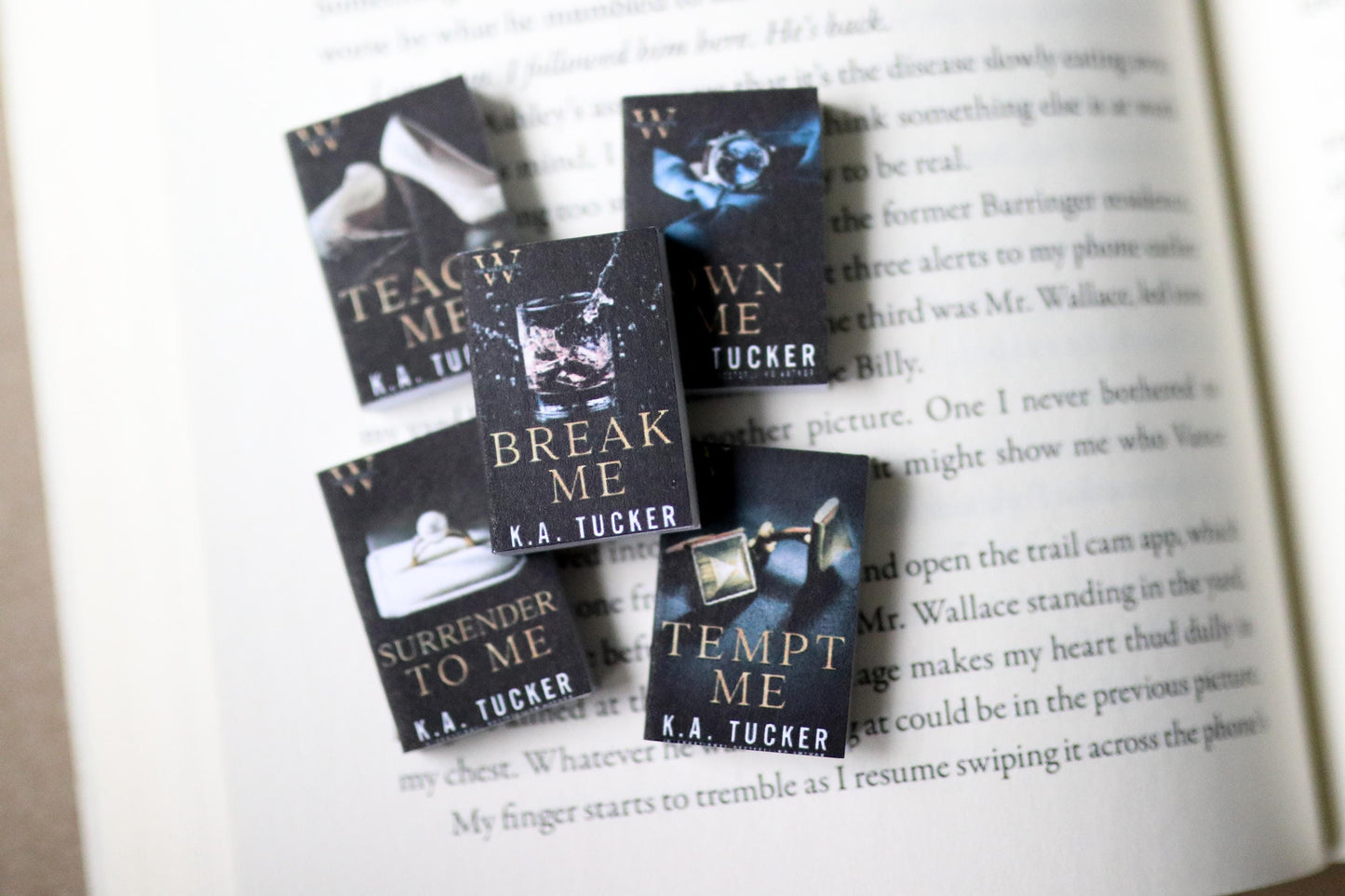 Handmade MINI The Wolf Hotel Series Books (set of 5 mini books)