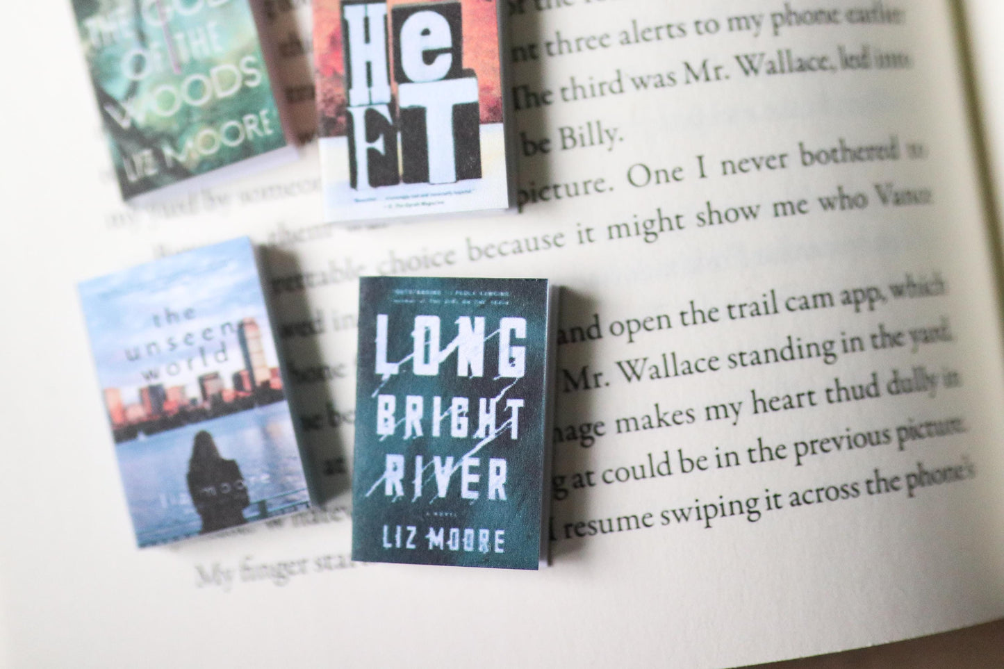 Handmade MINI Liz Moore Books (set of 4 mini books)