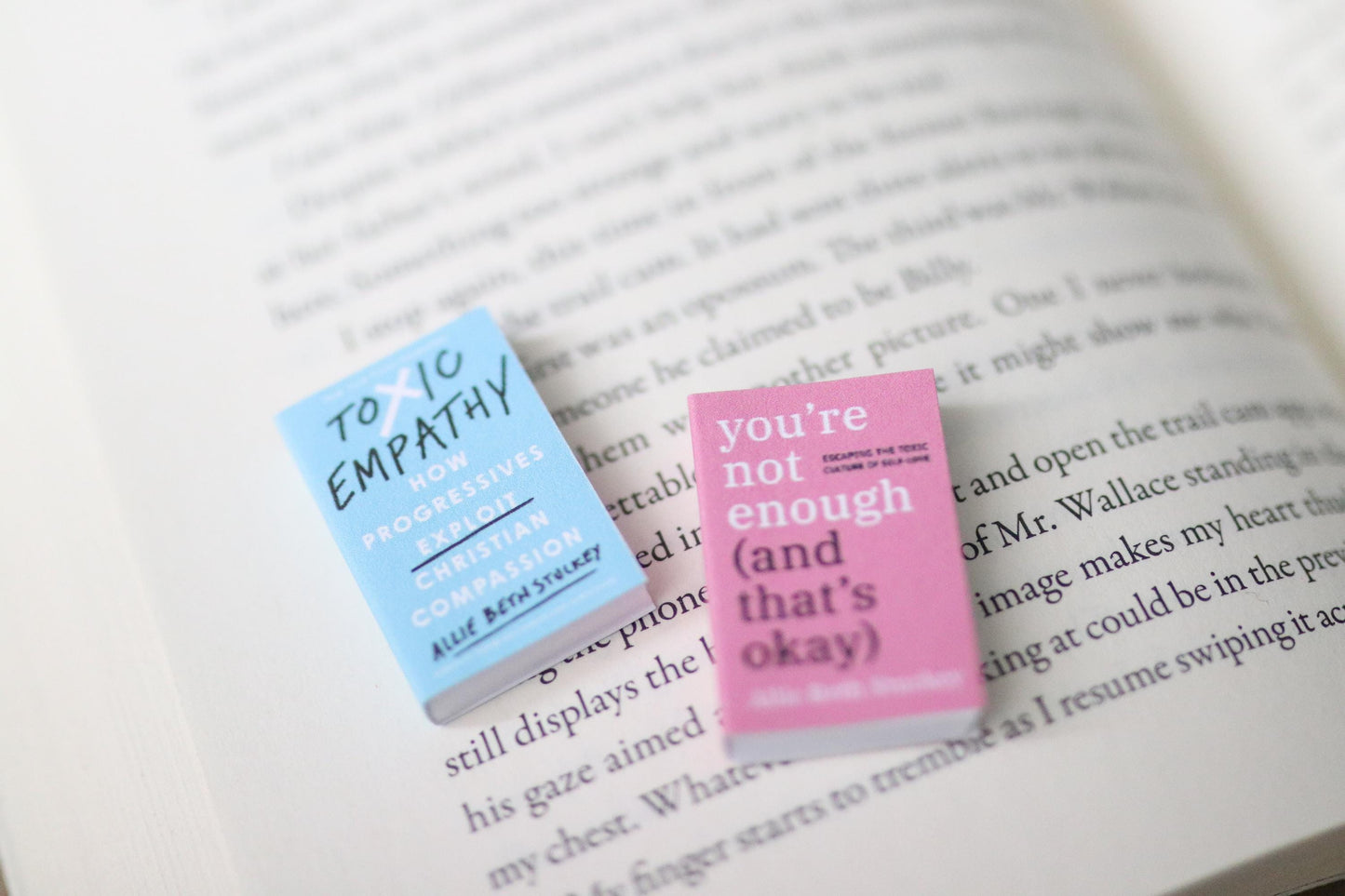 Handmade MINI Allie Beth Stuckey Books (set of 2 mini books)