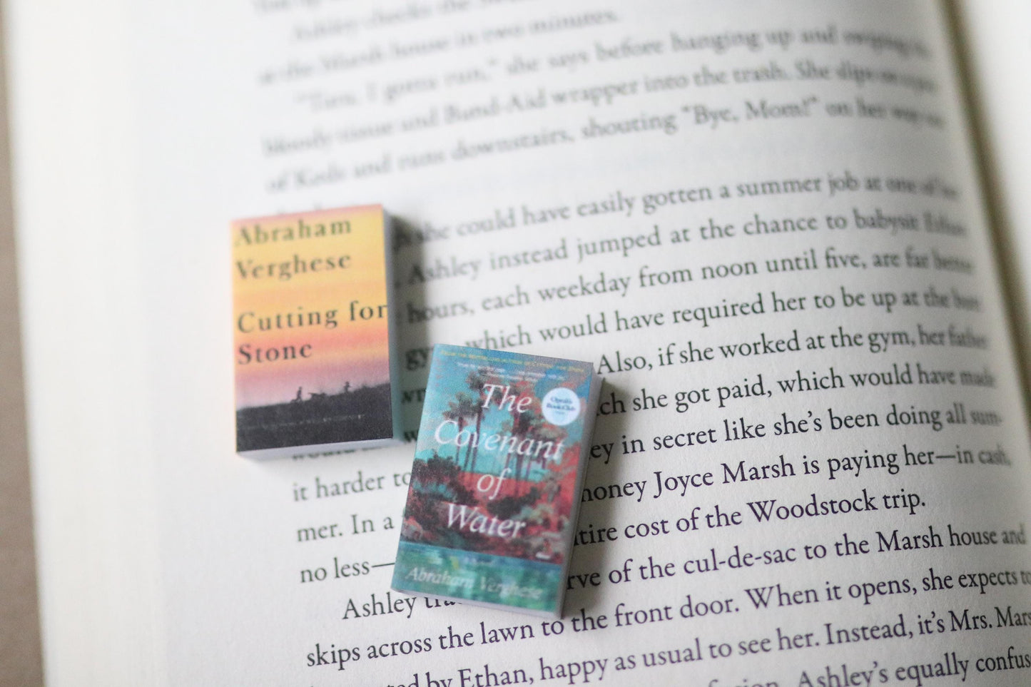 Handmade MINI Abraham Verghese Books (set of 2 mini books)