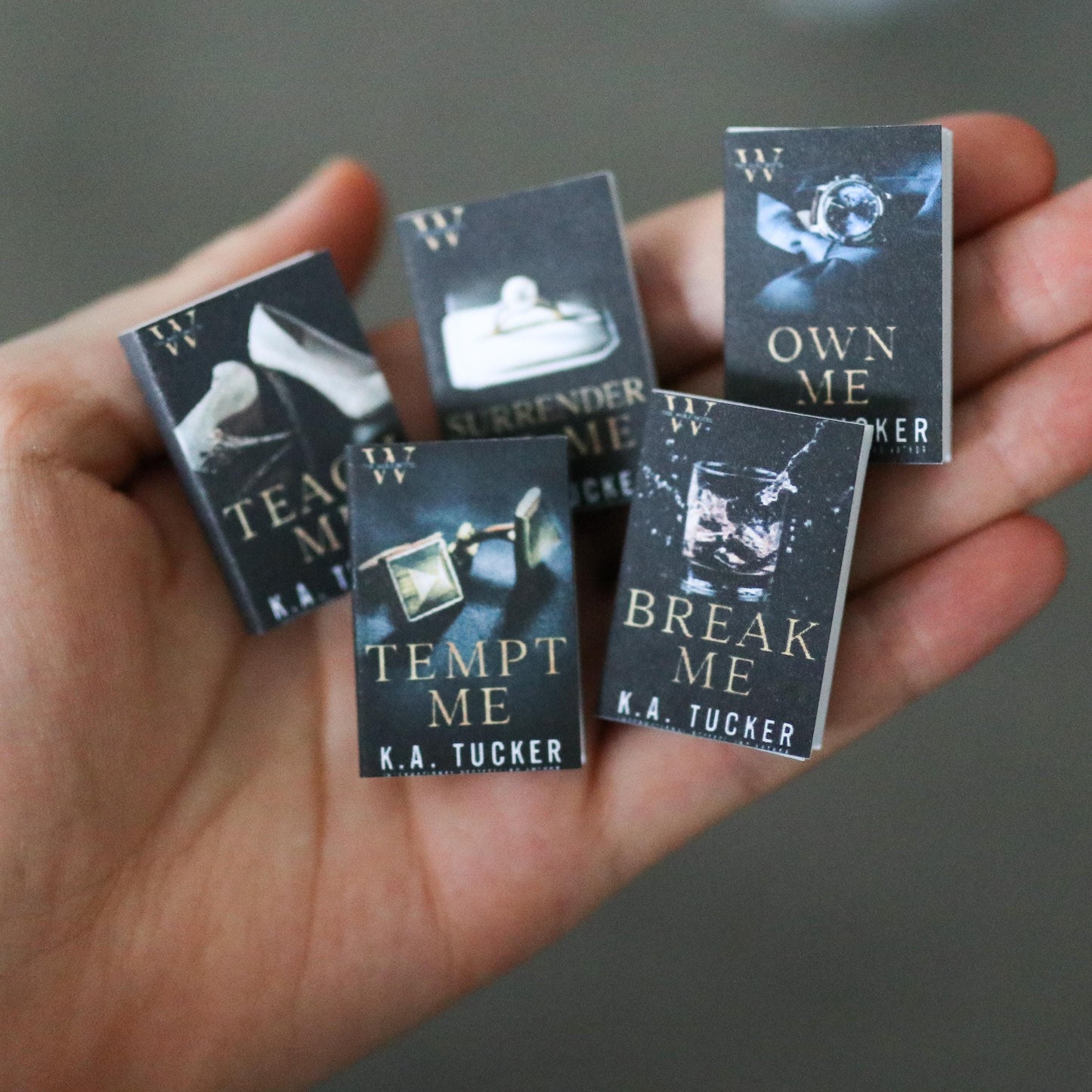 Handmade MINI The Wolf Hotel Series Books (set of 5 mini books)