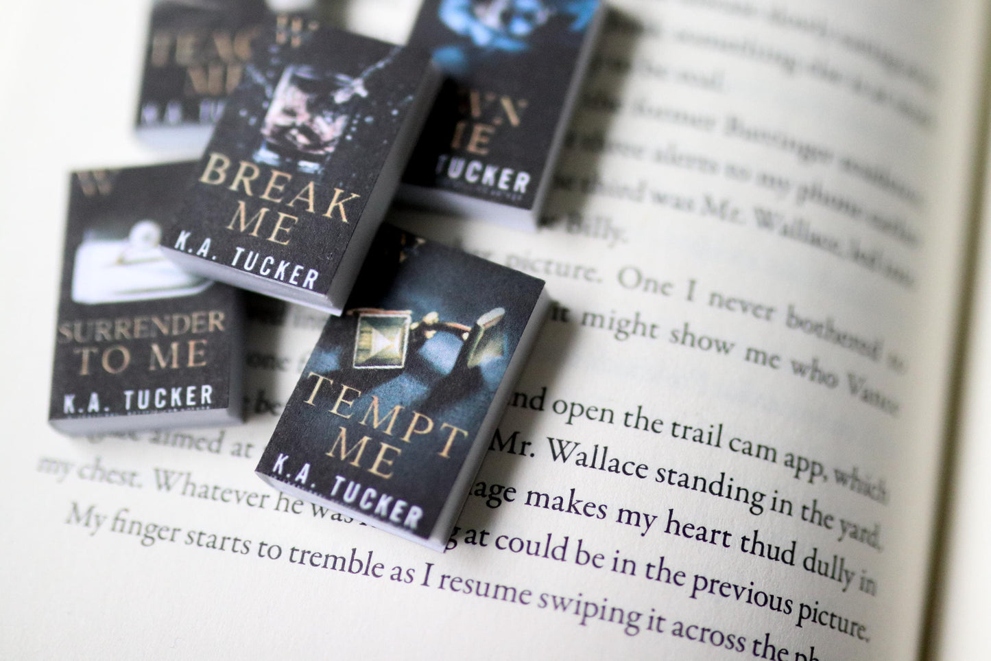 Handmade MINI The Wolf Hotel Series Books (set of 5 mini books)