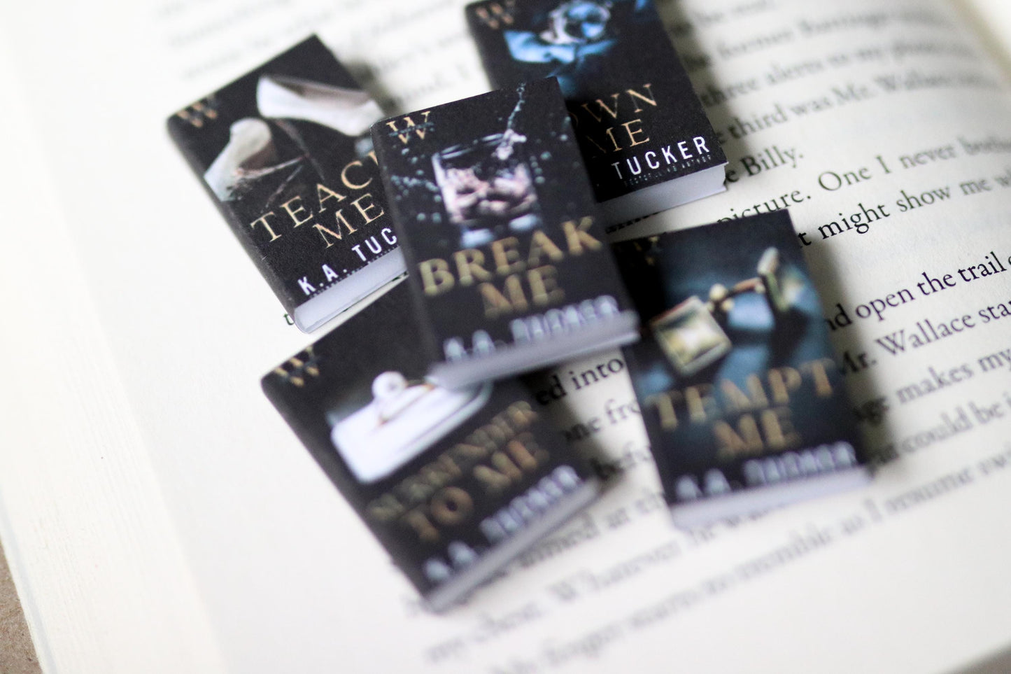 Handmade MINI The Wolf Hotel Series Books (set of 5 mini books)