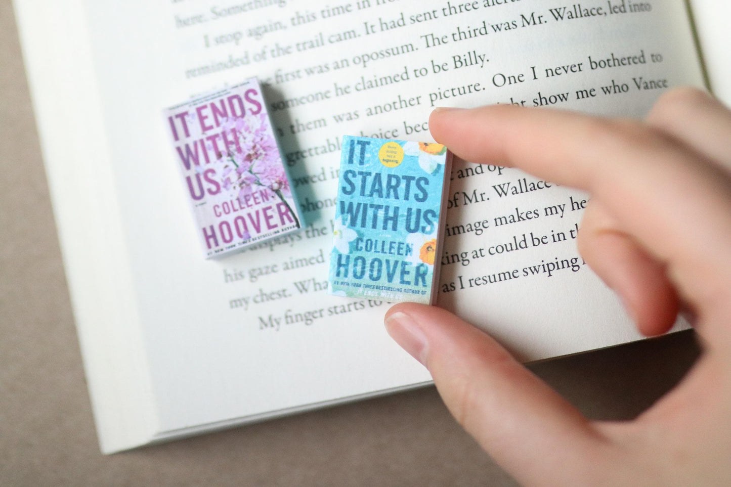Handmade MINI It Ends with Us Series Books (set of 2 mini books)