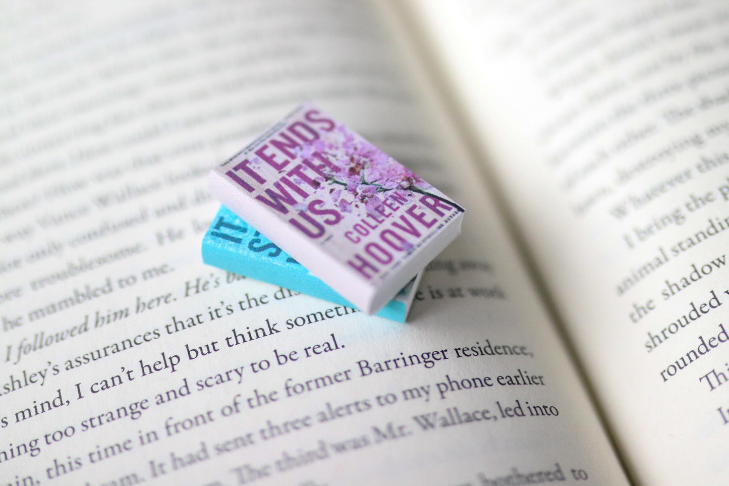 Handmade MINI It Ends with Us Series Books (set of 2 mini books)