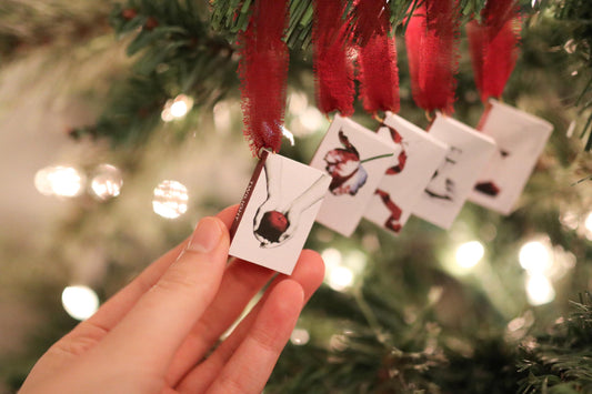 Twilight Mini Book Ornaments