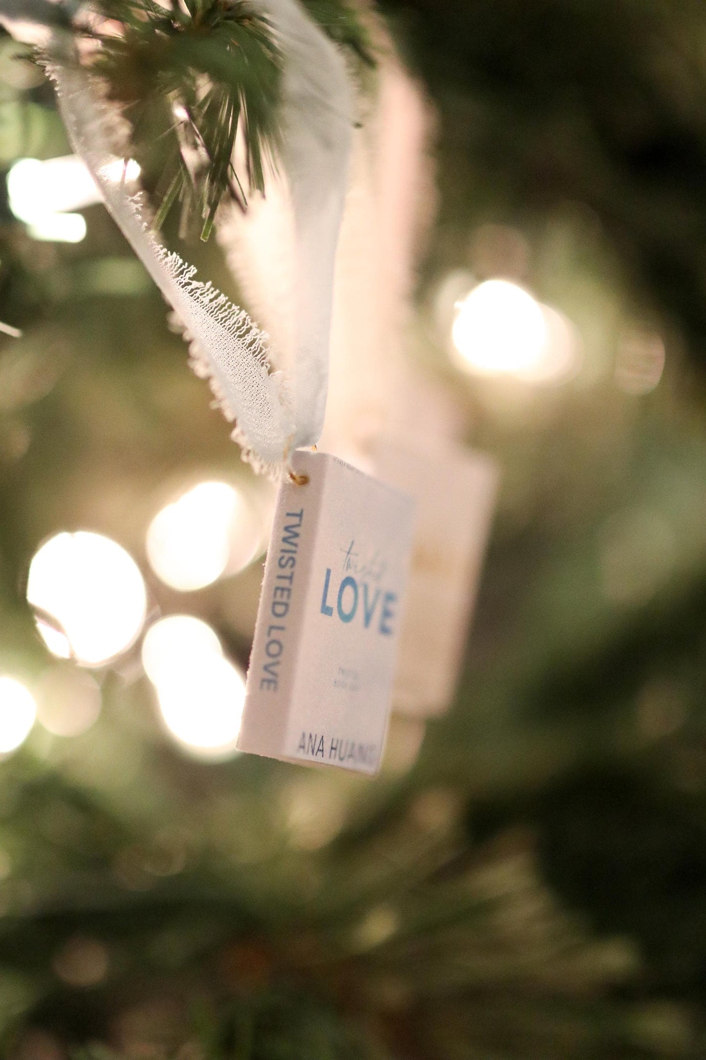 Twisted Love Mini Book Ornaments