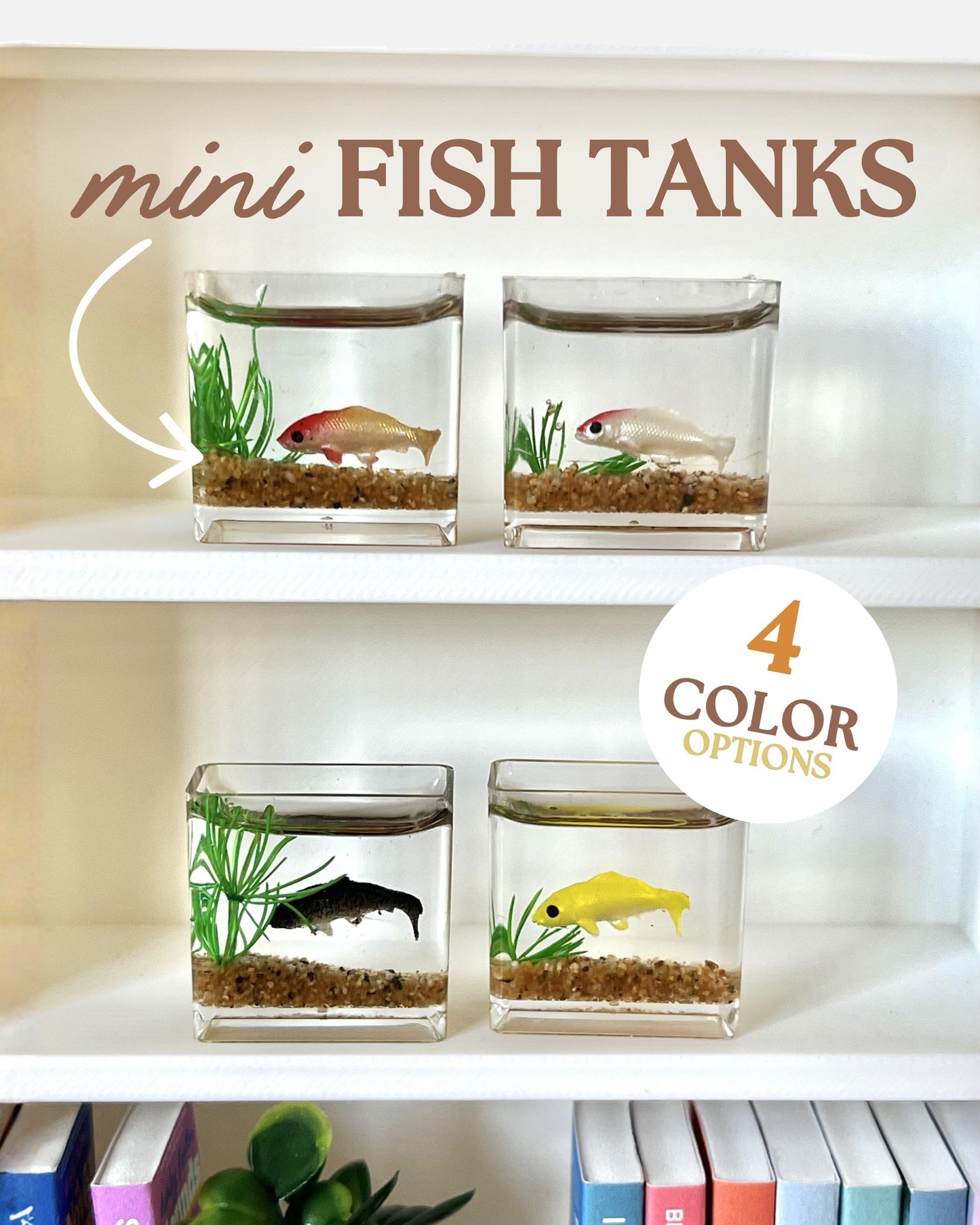 Mini Fish Tank