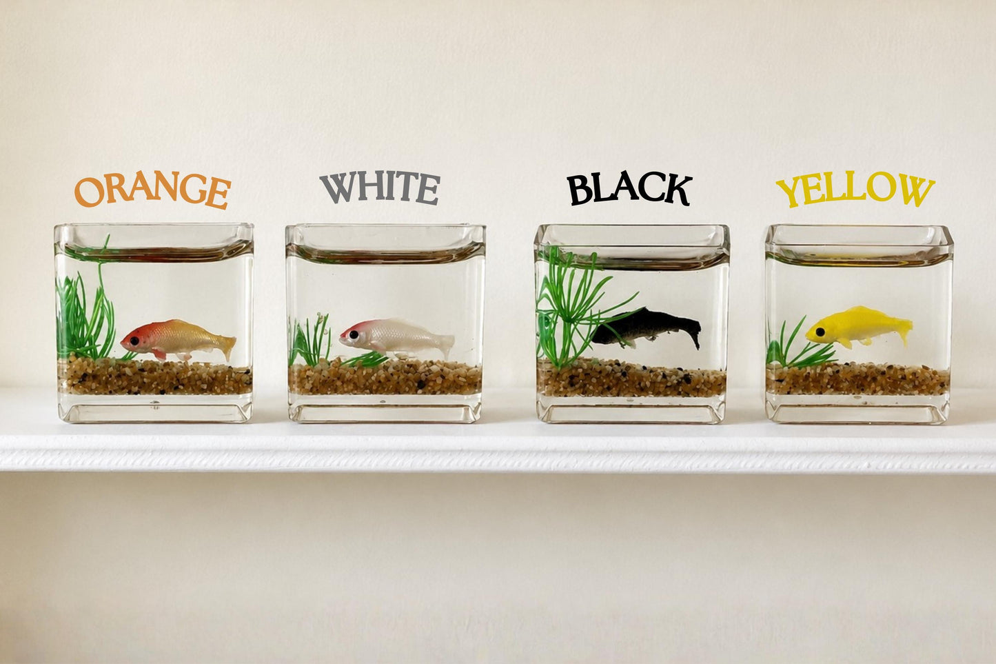Mini Fish Tank