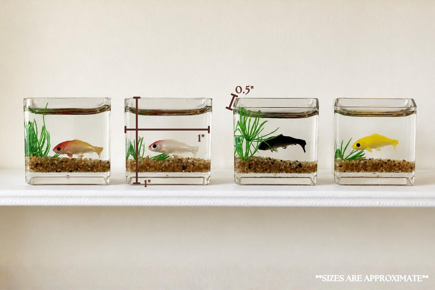 Mini Fish Tank
