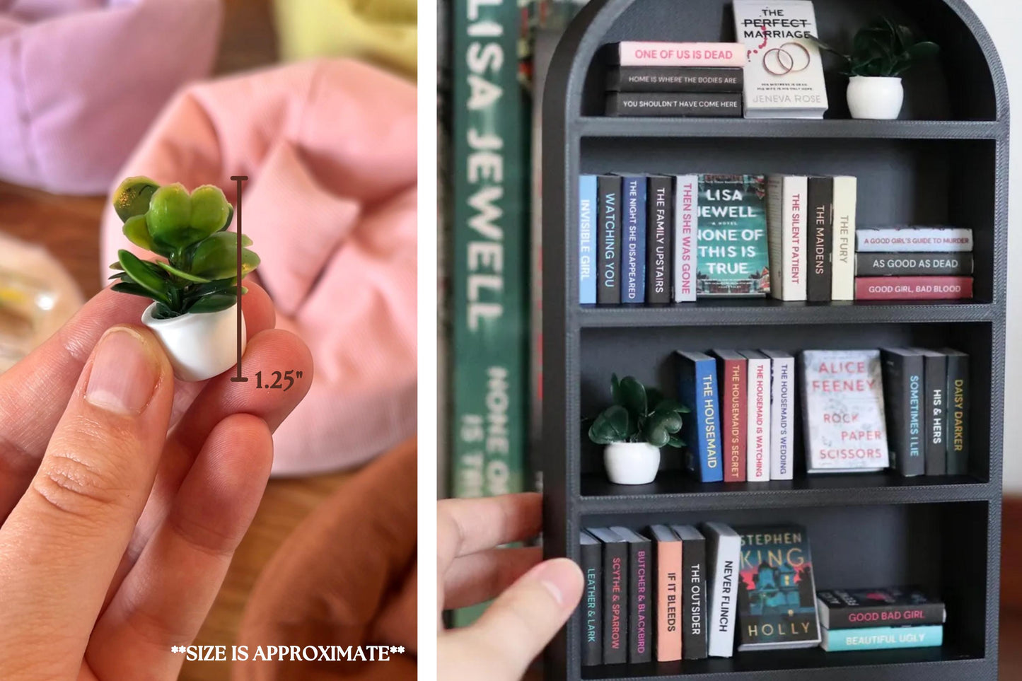 Mini Plants